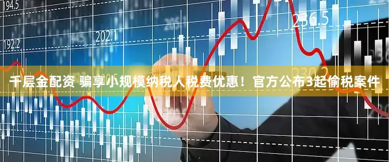 千层金配资 骗享小规模纳税人税费优惠！官方公布3起偷税案件