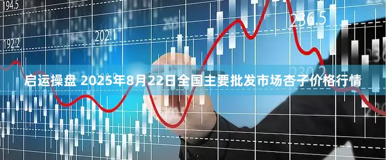 启运操盘 2025年8月22日全国主要批发市场杏子价格行情