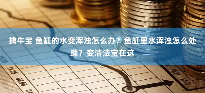 擒牛宝 鱼缸的水变浑浊怎么办？鱼缸里水浑浊怎么处理？变清法宝在这