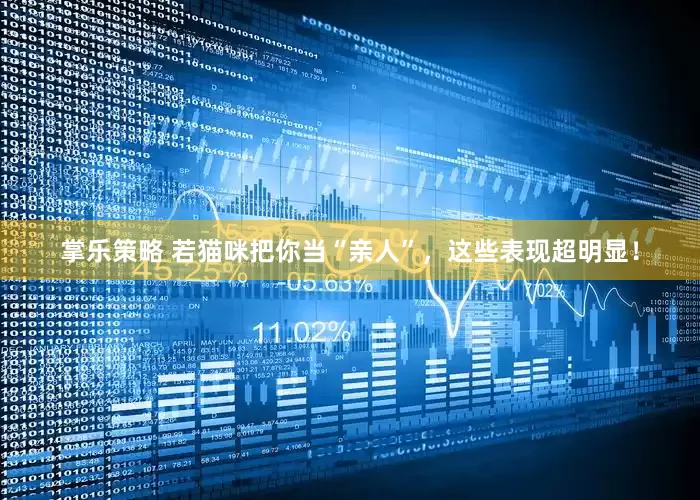 掌乐策略 若猫咪把你当“亲人”，这些表现超明显！