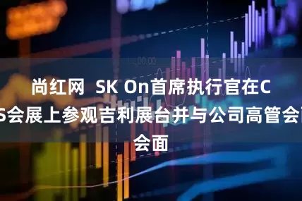 尚红网  SK On首席执行官在CES会展上参观吉利展台并与公司高管会面