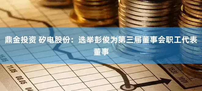 鼎金投资 矽电股份：选举彭俊为第三届董事会职工代表董事
