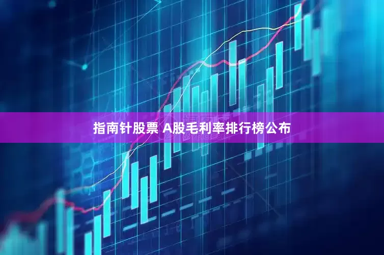指南针股票 A股毛利率排行榜公布